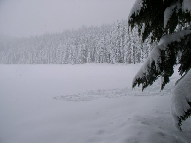 Frog Lake Snowshoe Jan 21 2005 012 